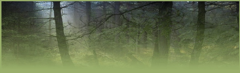 Impressum Backround